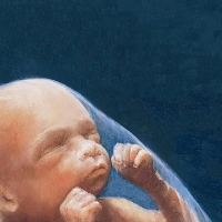 Month 6