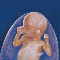 Month 5