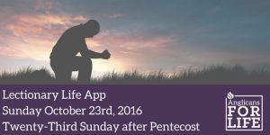 LLA 10/23/16