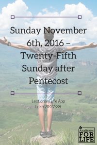 LLA 25th Sunday after Pentecost pin