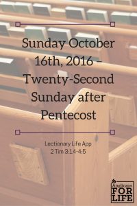 LLA 22nd Sunday after Pentecost