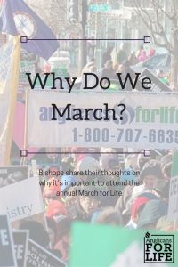 Why Do We March pin