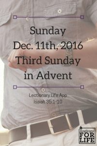 Lectionary Life App 3rd Sunday of Advent