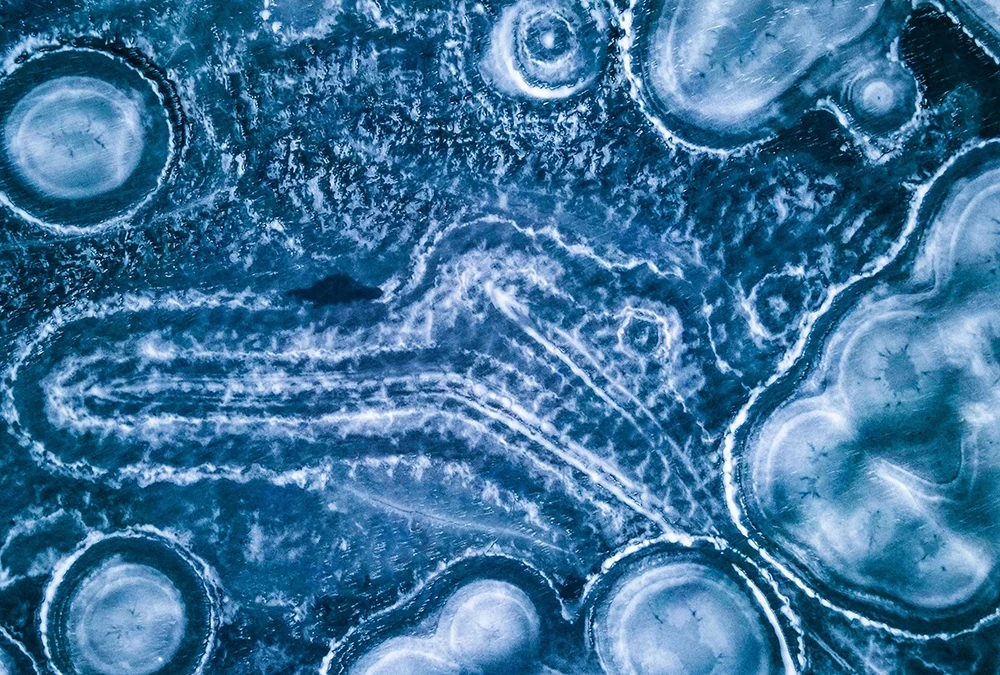“Stem Cell Research”: Making our Argument in the Midst of Confusion