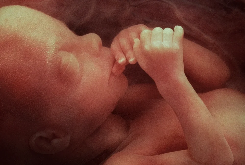 How Understanding Fetal Pain has Changed the Fight for Life
