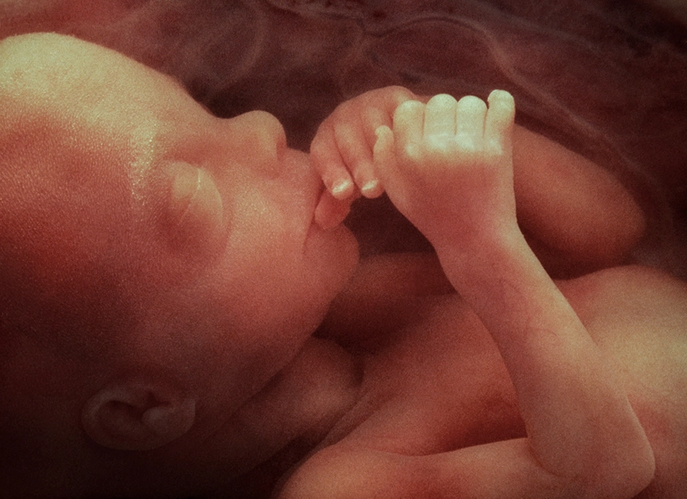 baby with hands up to its face in the womb.