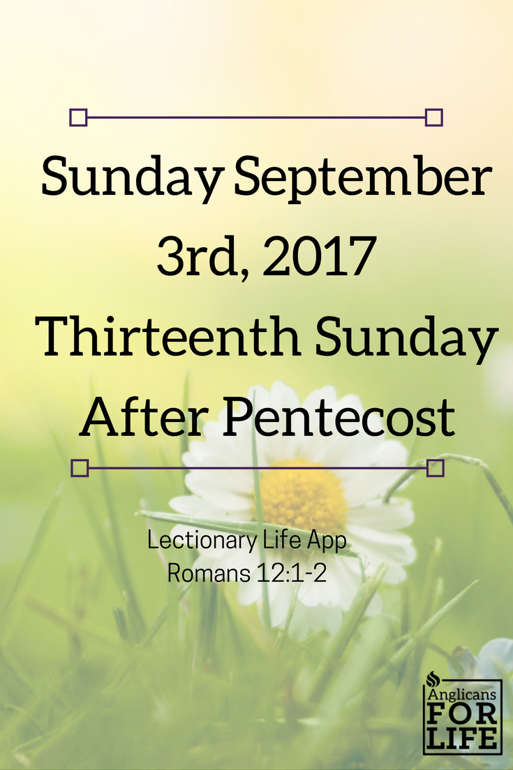 Renewal of the mind Sunday Sept 3rd Lectionary Teaching Thirteenth Sunday after Pentecost