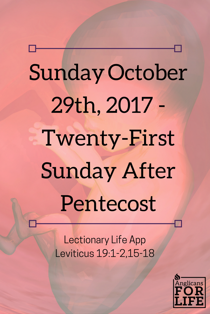 Lectionary Teaching Sunday Oct 29th, 21st Sunday After Pentecost blood