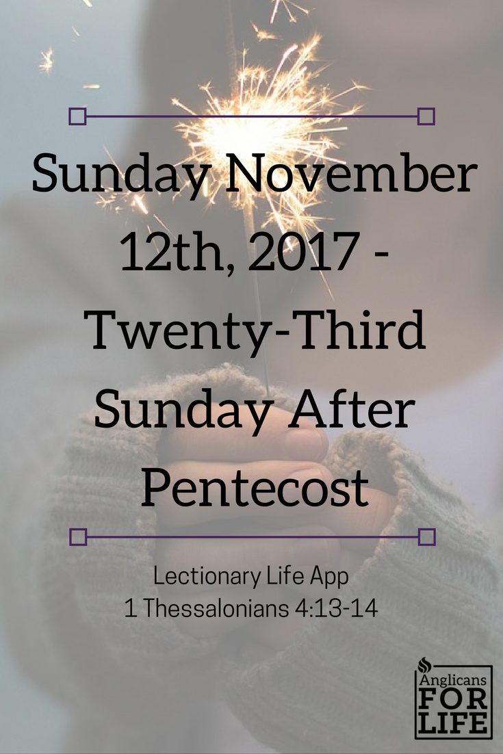 Lectionary Teaching 23rd Sunday after Pentecost abortion grief