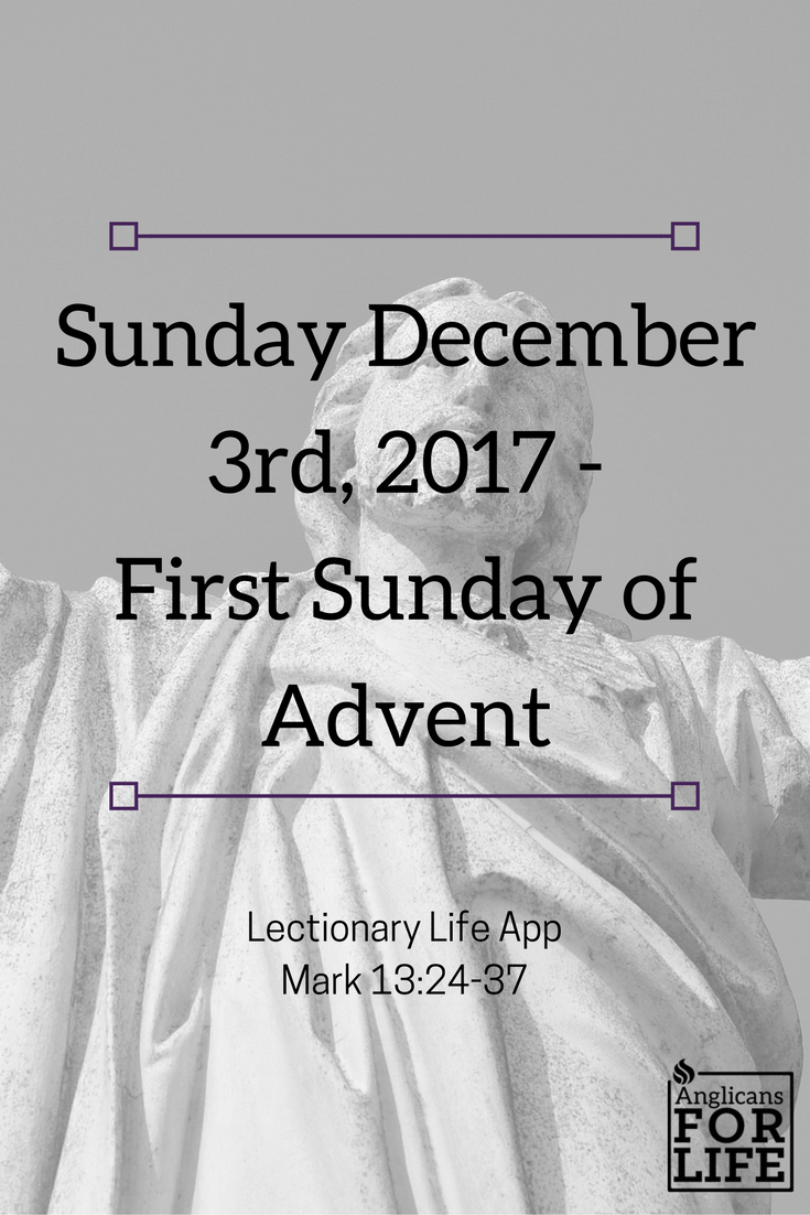 Sunday Dec 3rd Lectionary Teaching Jesus