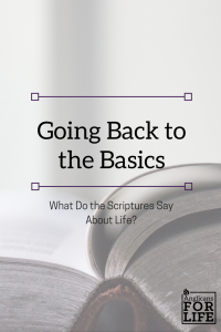 Life in Scriptures blog post
