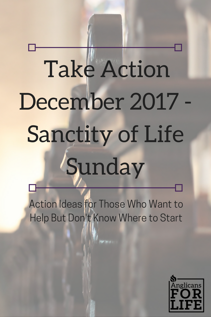 Sanctity of Life Sunday Take Action blog