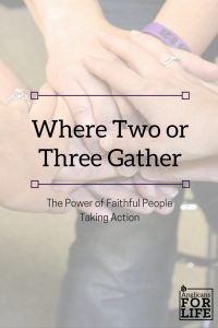 Where Two or Three Gather blog post action for life