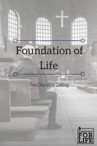 foundation of life blog post Jan 4 2018