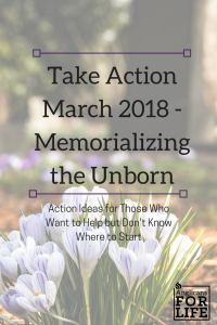 Take Action Memorializing the Unborn Blog Post March 2018