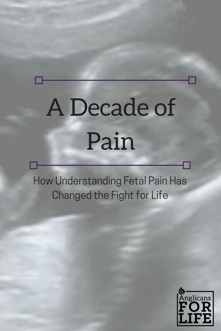 fetal pain blog