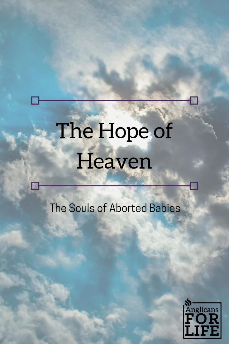 abortion babies in heaven