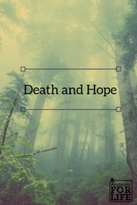Hope and Death Breedlove blog post pin