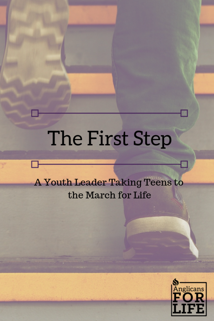 Youth Leader March for Life First Step blog