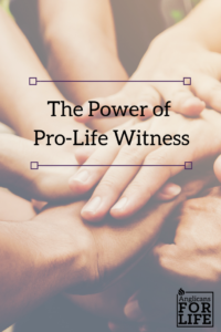 pro-life witness blog pin