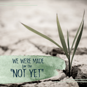 Abundant Life We Were Made for the Not Yet blog Pin