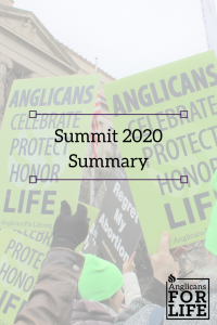 summit 2020 blog pin