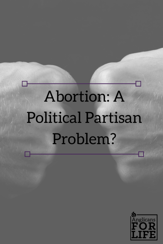 political issue abortion blog pin