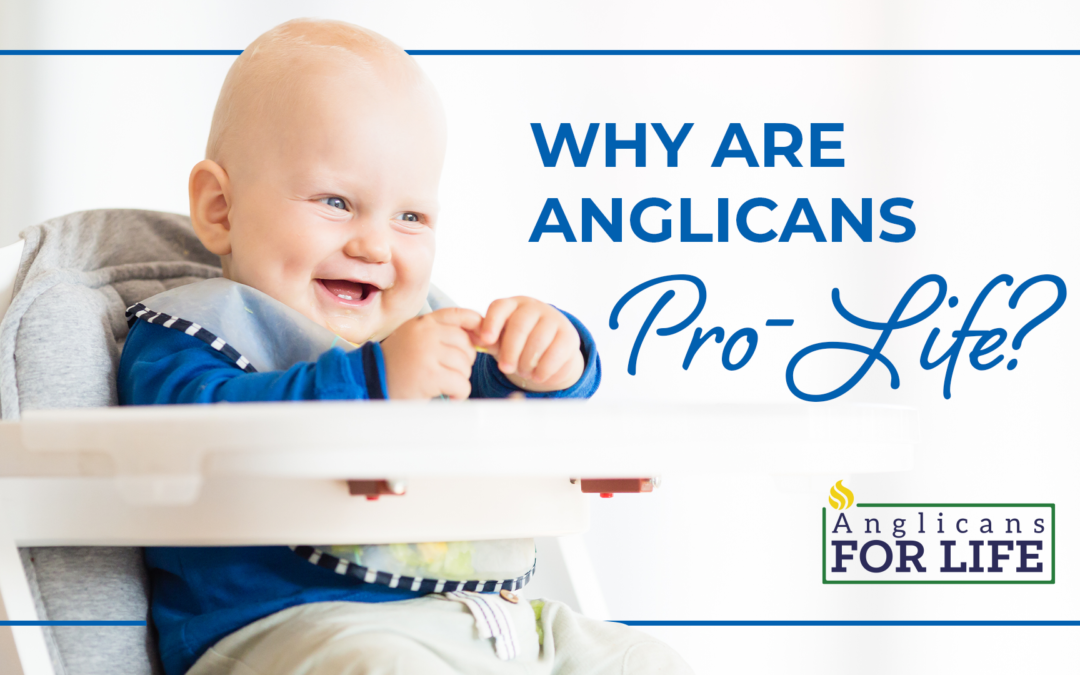 Why are Anglicans Pro-Life?