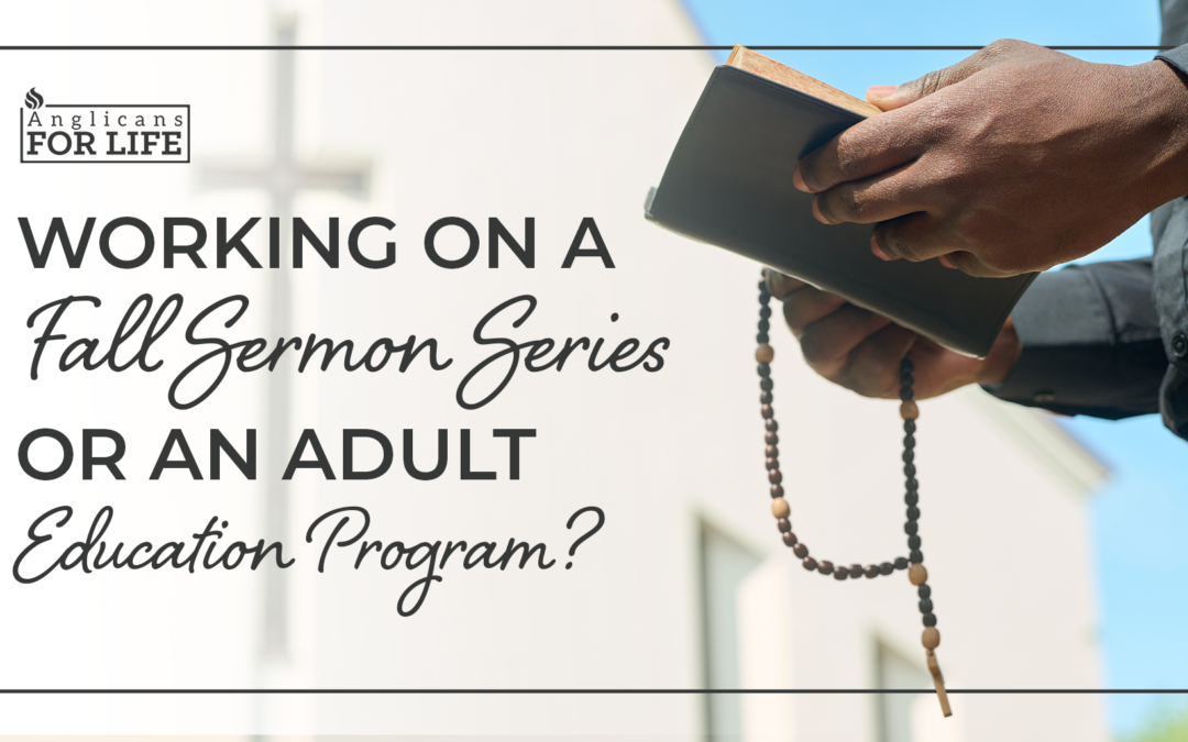 Working on a Fall Sermon Series or an Adult Education Program?