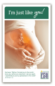 Cover of flashcards