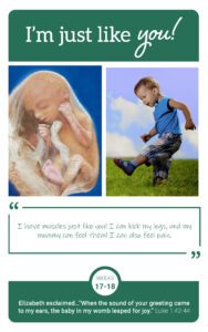 Flashcard showing fetus at week 17-18