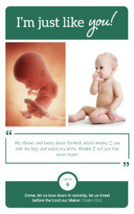 Flashcard showing fetus at week 9