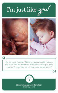 Flashcard showing fetus at week 9