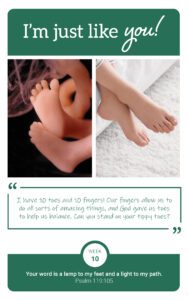 Flashcard showing fetus at week 10