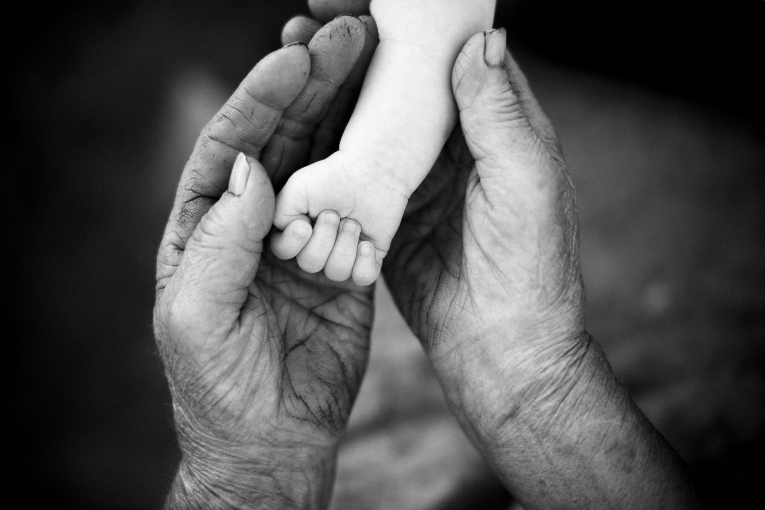 Hands of grandmother and granddaughter
