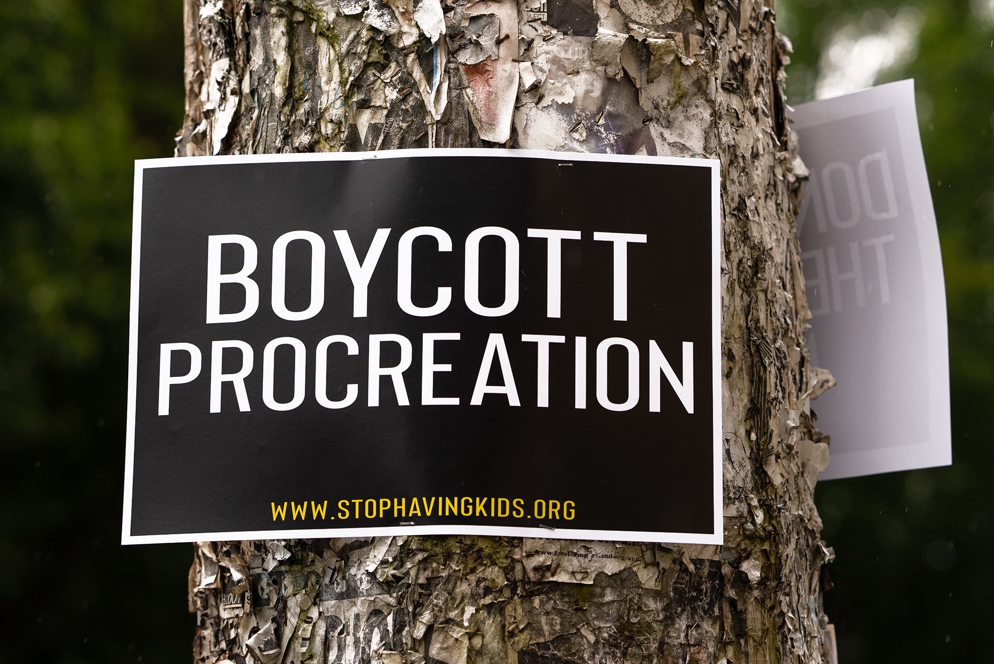 Sign that reads, "Boycott Procreation"