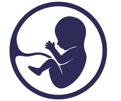 Icon of a baby in utero