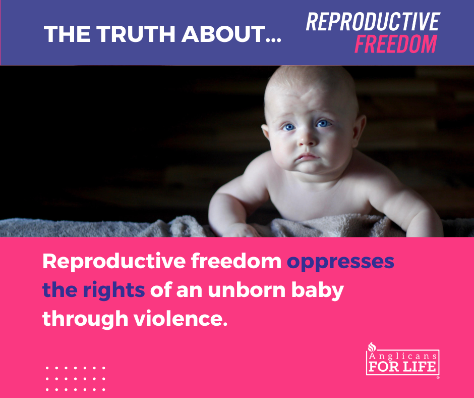 Reproductive freedom oppresses the rights of an unborn baby through violence