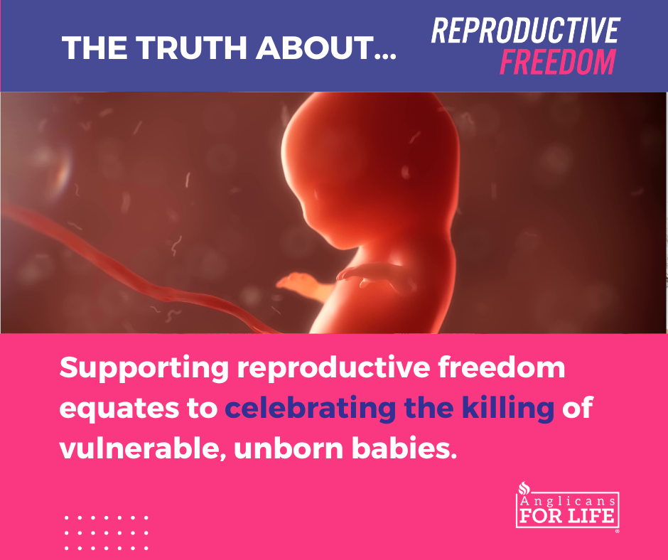 Supporting reproductive freedom equates to celebrating the killing of vulnerable, unborn babies.