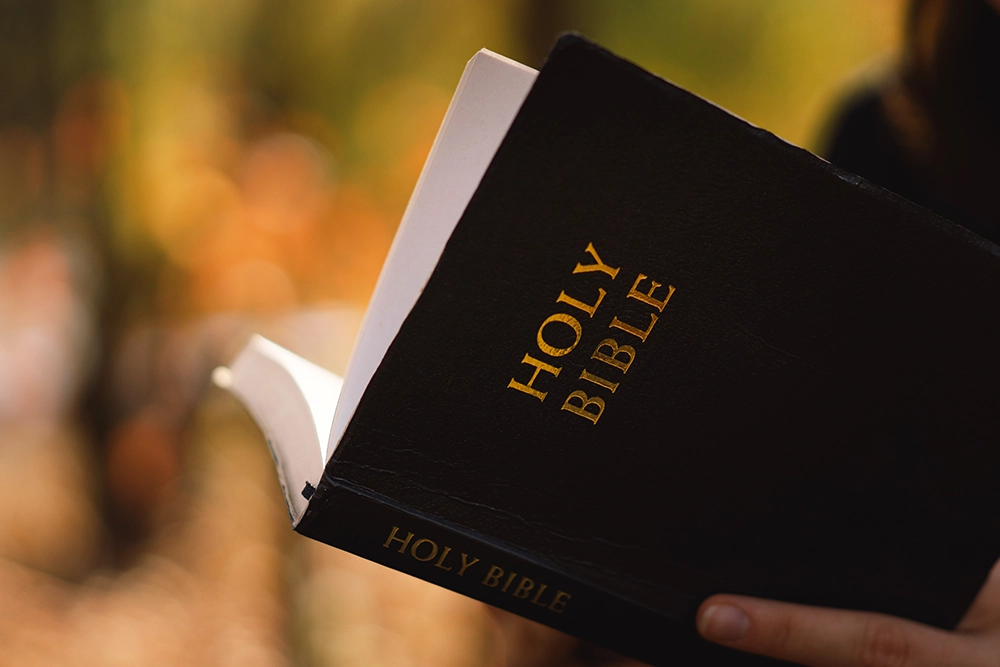 hands holding an open bible