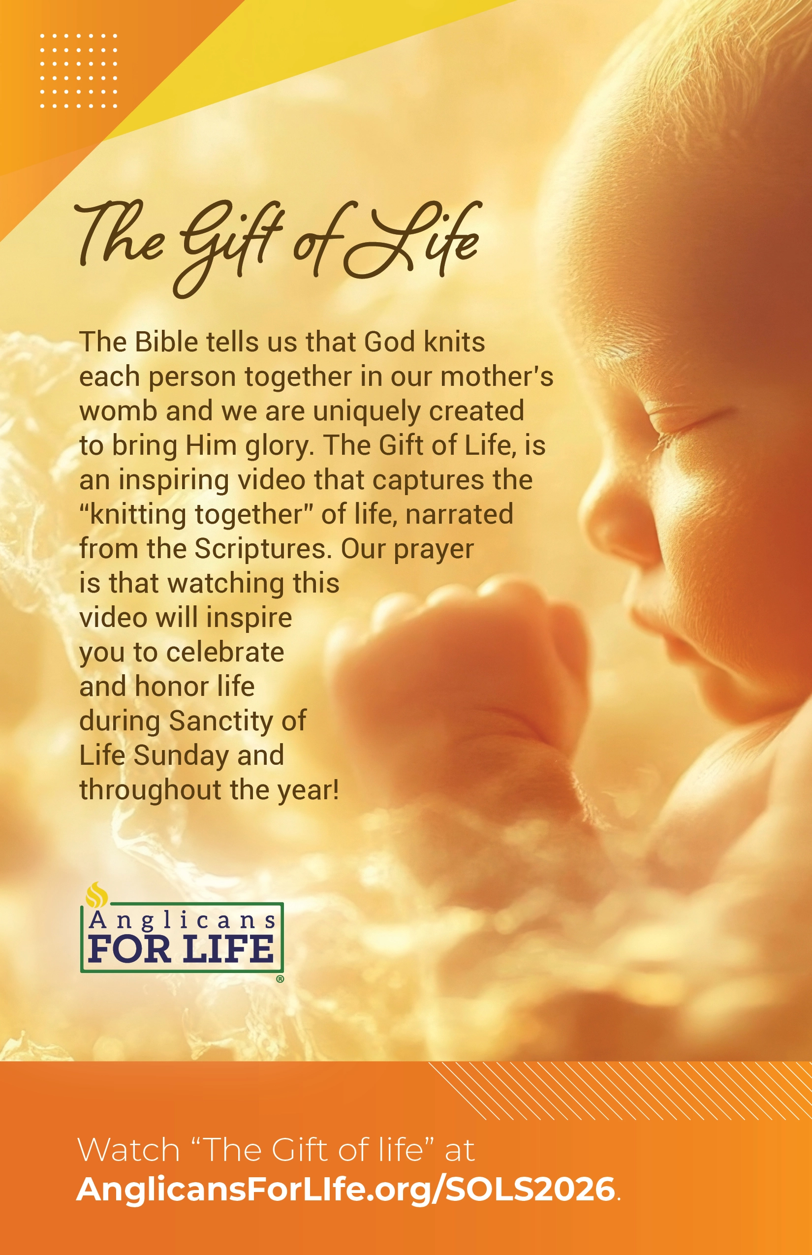 bulletin insert front cover